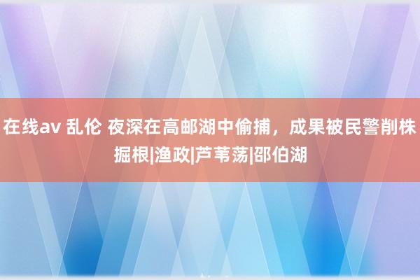 在线av 乱伦 夜深在高邮湖中偷捕，成果被民警削株掘根|渔政|芦苇荡|邵伯湖