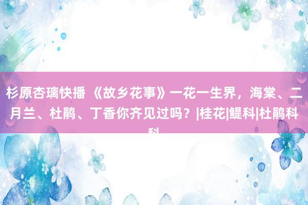 杉原杏璃快播 《故乡花事》一花一生界，海棠、二月兰、杜鹃、丁香你齐见过吗？|桂花|鳀科|杜鹃科