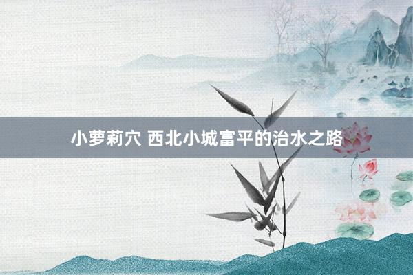 小萝莉穴 西北小城富平的治水之路